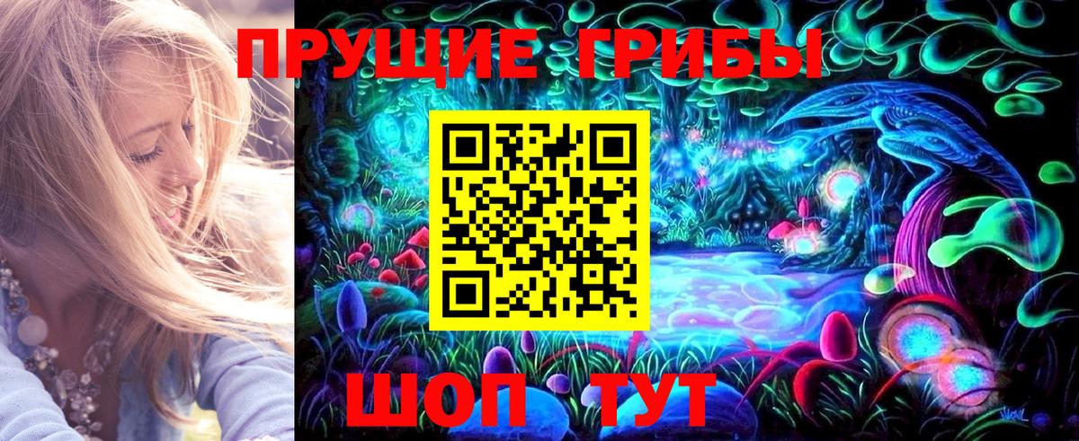 Галлюциногенные грибы MAGIC MUSHROOMS  Псилоцибиновые грибы GOLDEN TEACHER  Саяногорск  Вход с VPN 